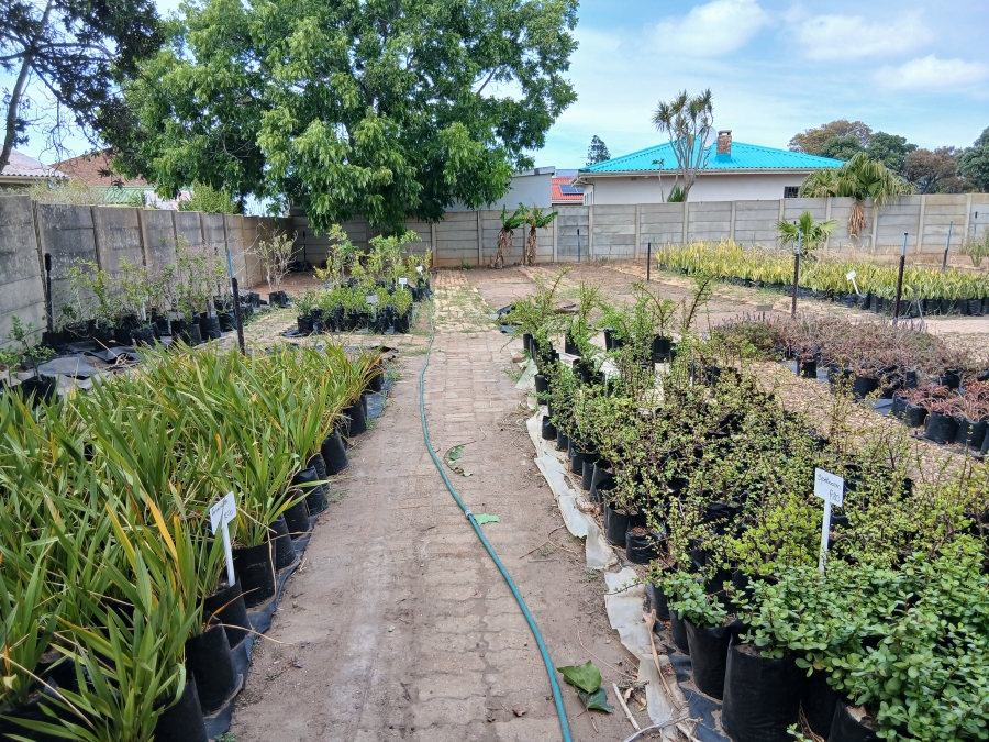 Commercial Property for Sale in C Place Eastern Cape